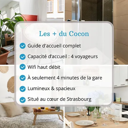 Le Cocon - Proche Gare - Lumineux & Centre - Commerces A Proximite Lejlighed Strasbourg